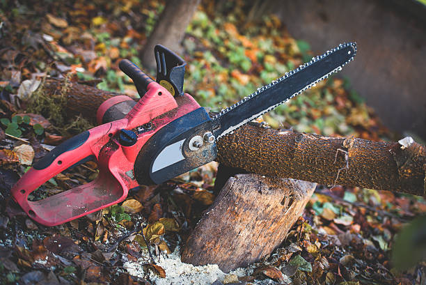 Rochelle, GA Tree Care Company